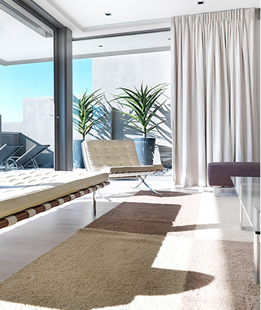 Luxury Apartment
